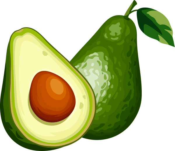 Avocado